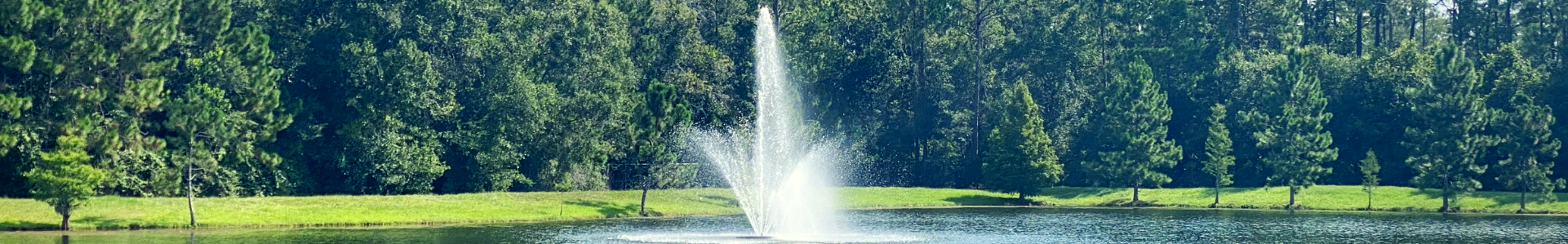 Lake view with water fountain feature